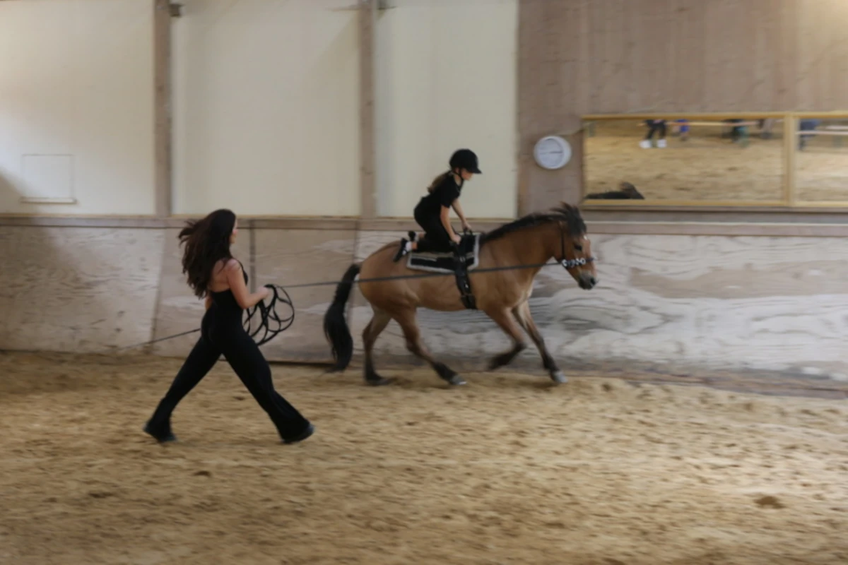 Reitunterricht auf Islandpferden